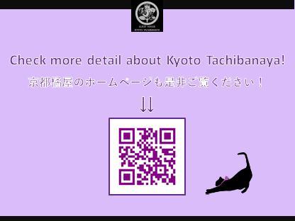 Kyoto Tachibanaya Nijojo North Villa Eksteriør billede